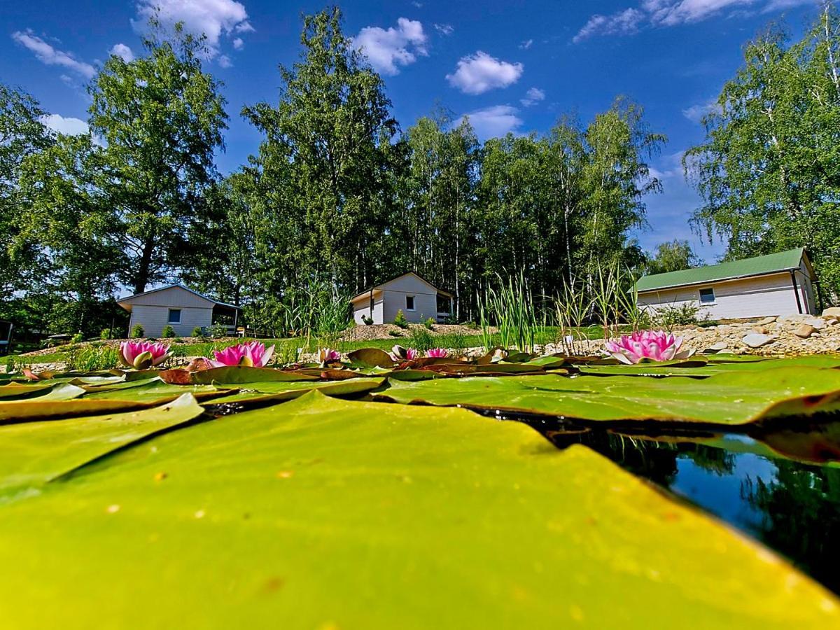 Obora Chalet Lanškroun